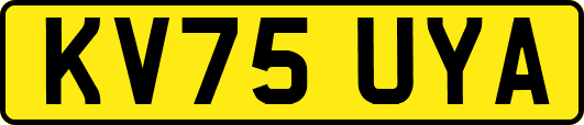 KV75UYA