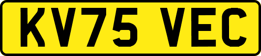 KV75VEC