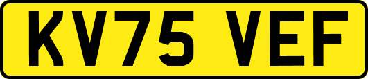 KV75VEF