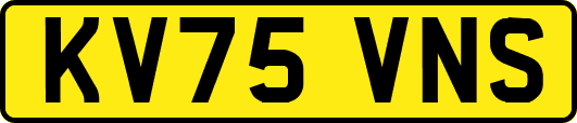 KV75VNS