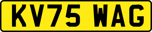 KV75WAG