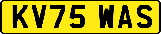 KV75WAS