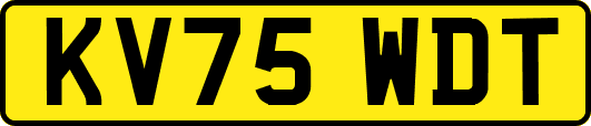 KV75WDT