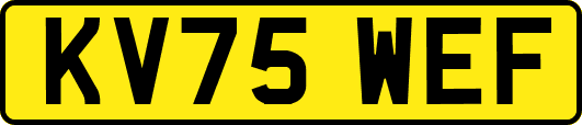KV75WEF