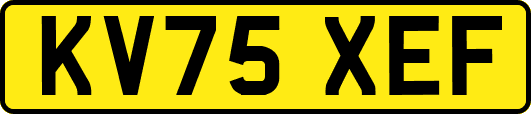 KV75XEF