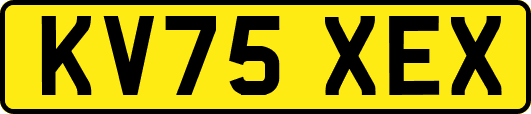 KV75XEX