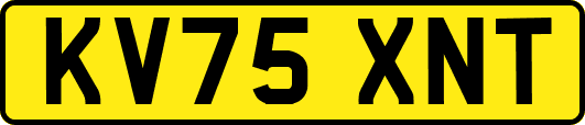 KV75XNT