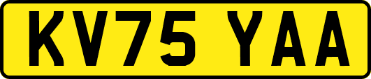 KV75YAA