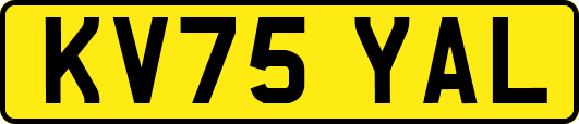 KV75YAL