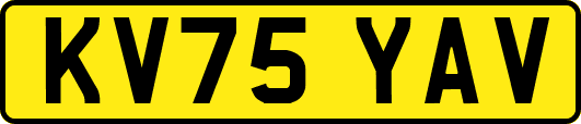 KV75YAV