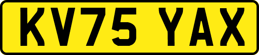 KV75YAX