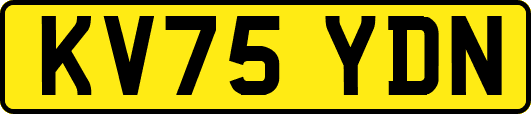 KV75YDN