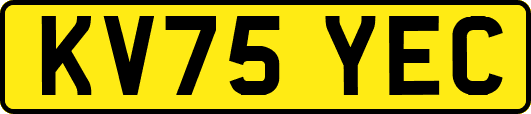 KV75YEC