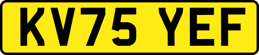 KV75YEF