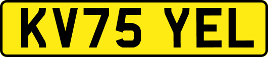 KV75YEL