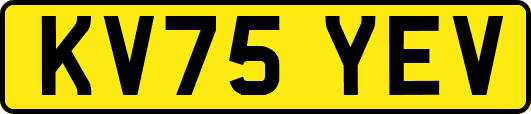 KV75YEV