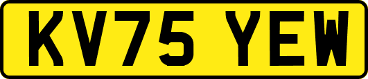 KV75YEW