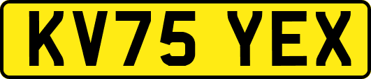 KV75YEX