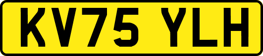 KV75YLH