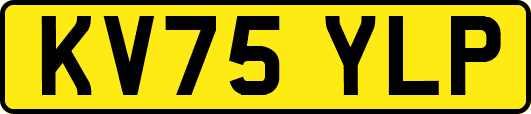 KV75YLP