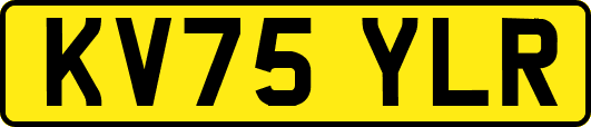KV75YLR