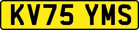 KV75YMS