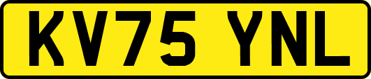 KV75YNL