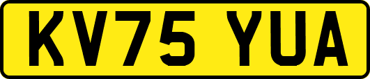 KV75YUA