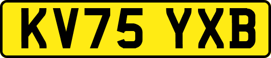 KV75YXB