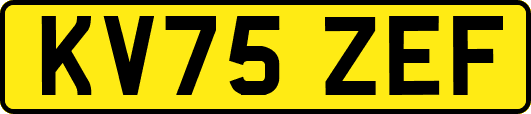 KV75ZEF