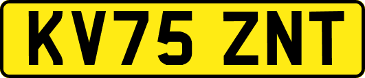 KV75ZNT
