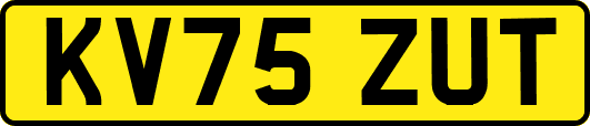 KV75ZUT
