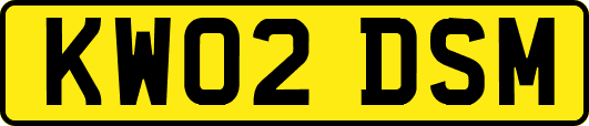 KW02DSM