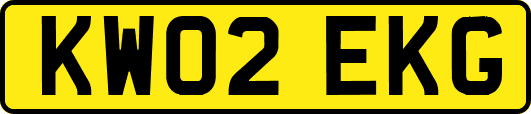 KW02EKG