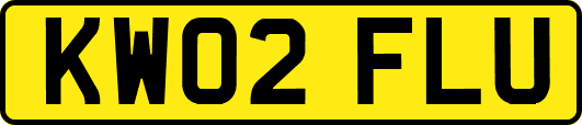 KW02FLU