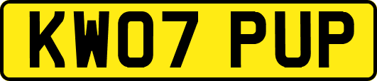 KW07PUP