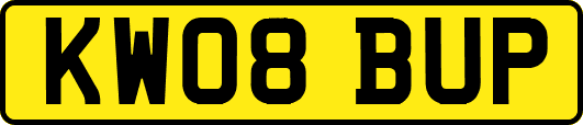 KW08BUP