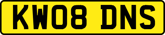 KW08DNS