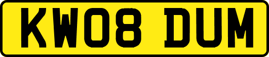 KW08DUM