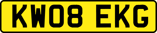 KW08EKG