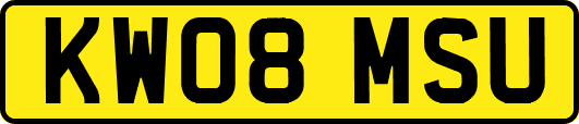 KW08MSU