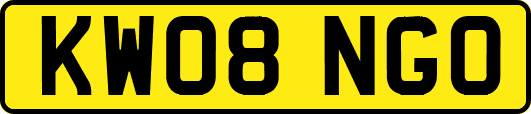 KW08NGO