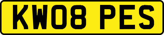 KW08PES