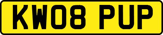 KW08PUP