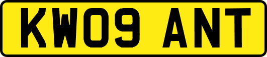 KW09ANT