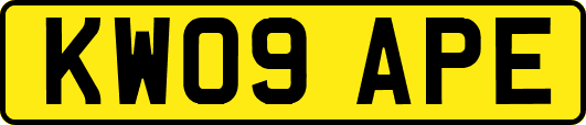KW09APE