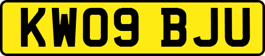 KW09BJU