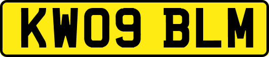 KW09BLM