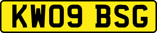 KW09BSG