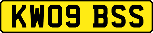 KW09BSS